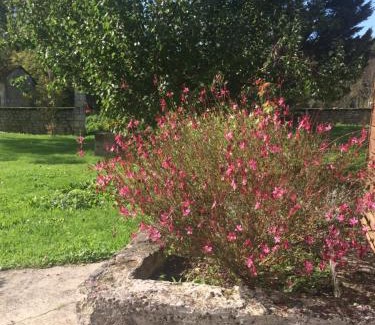 Allas-Bocage House | Gîte Rouge Calme et Nature