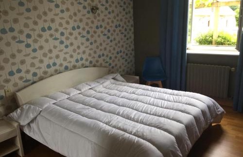 Nourray House | Gîte rustique avec cheminée, jardin, vélos à dispo, proche châteaux de la Loire et ZooParc de Beauval - FR-1-491-442