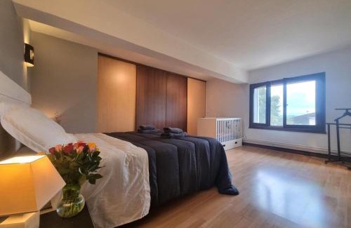 Saint-Galmier House | Gîte spacieux et rénové avec véranda lumineuse et jeux extérieurs à Saint-Galmier - FR-1-496-300