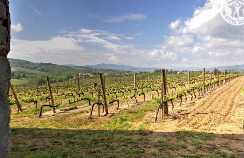 Malleval Apartment | Gîte Studio avec Piscine Partagée et Vue sur Vignes - FR-1-496-116