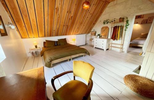 Candes-Saint-Martin House | Gîte XIXè de charme à Candes-St-Martin avec jardin clos - FR-1-381-612