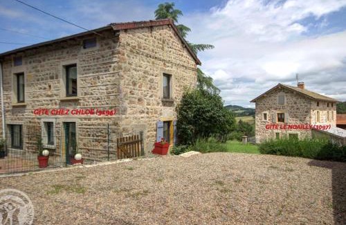 Belmont-de-la-Loire House | Gîtes au calme avec piscine et animaux admis, jusqu'à 13 personnes - FR-1-496-140