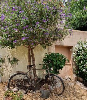 Pomerols House | Gîtes "tout au sud de la France"