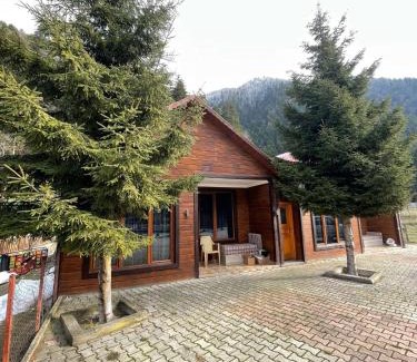Uzungol Apartment | Gölevi bungalov uzungöl
