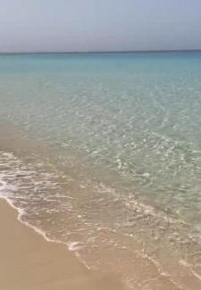 Ad-Dab'ah Apartment | Gaia North Coast Ras El Hekma