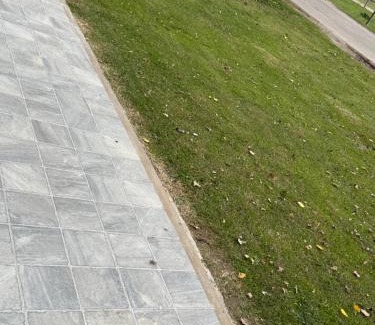 Dolores House | Galatea