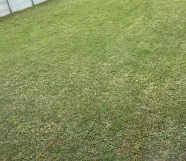 Dolores House | Galatea