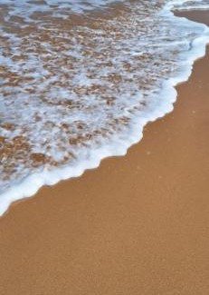 Rathgama Apartment | Galle Beach Villa