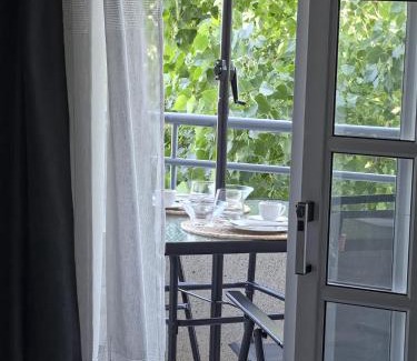 Caldas da Felgueira Apartment | Garça-Real