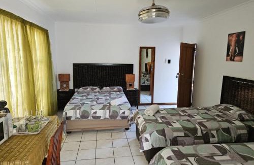 Vereeniging House | Garden Corner Guesthouse