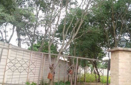 Chitungwiza Bed & Breakfast | Garden Guest House Bed & Bre Chitungwiza