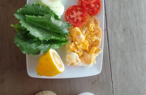 Chitungwiza Bed & Breakfast | Garden Guest House Bed & Bre Chitungwiza