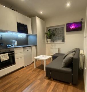 Kralupy nad Vltavou Apartment | Garden house on the Vltava riverbank 15 min to Prague