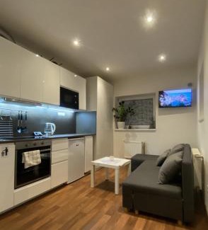 Kralupy nad Vltavou Apartment | Garden house on the Vltava riverbank 15 min to Prague