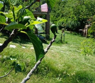Volterra House | Garden Relax
