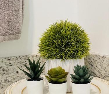 Salem House | Gardner Lake 2 Queen/1King/2 Bath/Laundry- Private