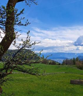 Salonetto Hotel | Garni Reider