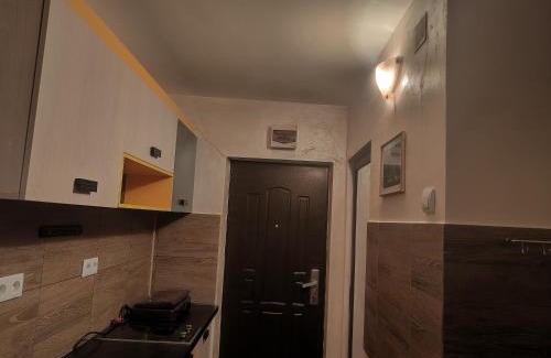 Galati Apartment | Garsoniera țiglina 1