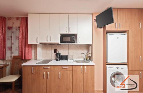 Baile Felix Apartment | Garsoniera Ania Baile Felix