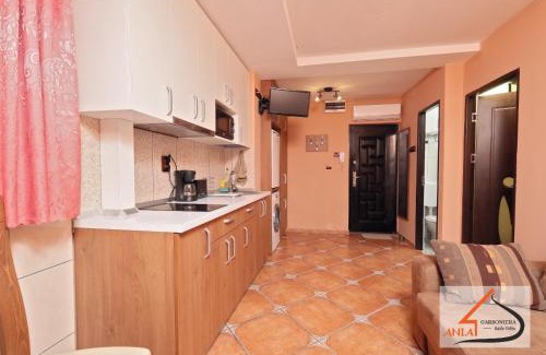 Baile Felix Apartment | Garsoniera Ania Baile Felix