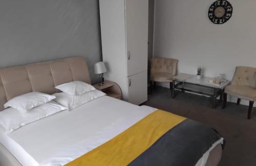 Tirgu Jiu Apartment | Garsoniere