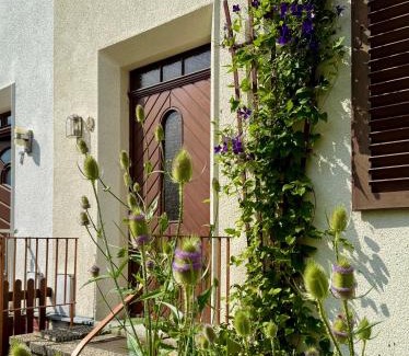 Oberdorla Apartment | Gartenhaus Erika