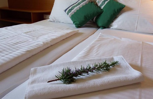 Morbisch am See Cottage | Gartenpension Fischl - double room with shower, toilet