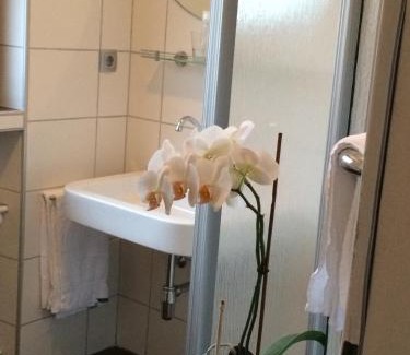 Seelbach-Schutter Hotel | Gasthof Zuck