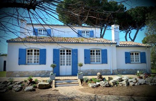 Bella Farnia Villa | Geko