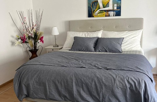 Basel City Centre Apartment | Gemütliche für die Familien Oder Urlauber