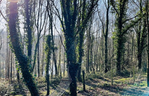 Talmont-Saint-Hilaire Ski Chalet | Genuine wooden chalet with spa and pool 10 minutes from the beaches of the Vendée