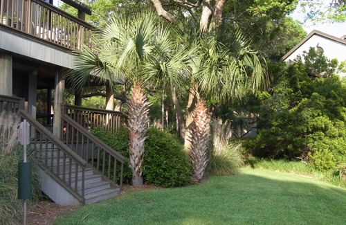 Kiawah Island Villa | Georgeous Views! Walkout first floor lagoon villa. Pet friendly.