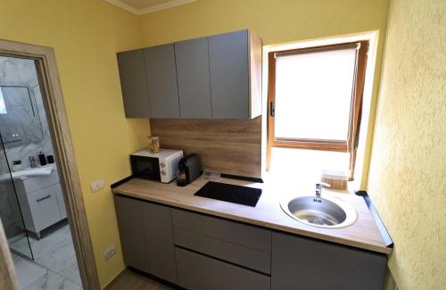 Fagaras House | Georgescu House