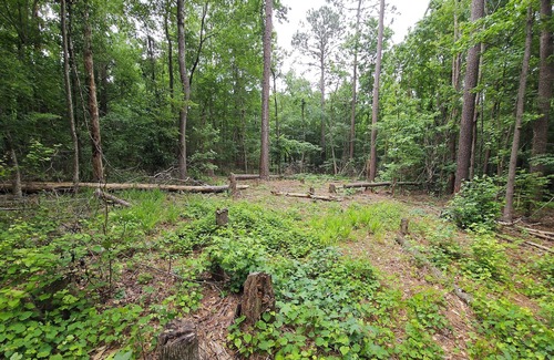 Appling RV Rental | Get Away in a private full 1acre lot in the Columbia County city of Appling.