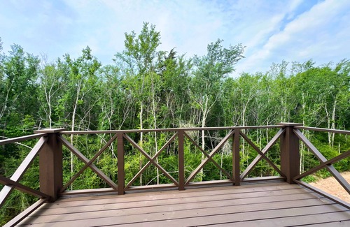 Wellborn Apartment | Getaway in the Woods - 2-Bed/1 Bath Apartment Near Texas A&M