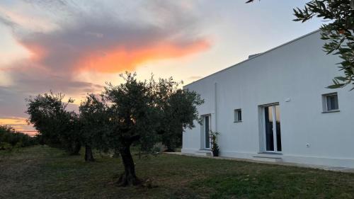 Castelvetrano Bed & Breakfast | Giardino del Belice