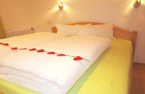 Zell am Ziller Apartment | Gielerhof