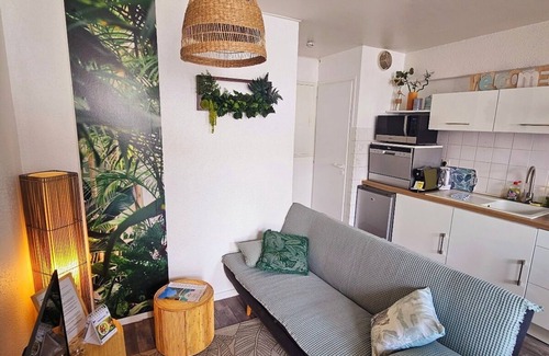 La Roche-sur-Yon Apartment | Gîte 3 pers Bornéo - Relaxation with heated swimming pool and secure parking lot