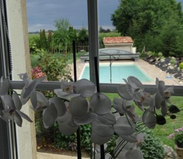 Saint-Nicolas-de-la-Grave Apartment | GITE Abeille-Soleil