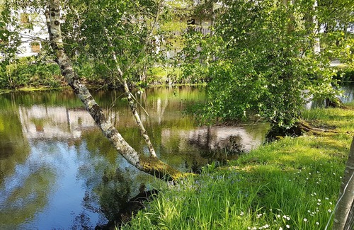 Les Chatelliers-Chateaumur House | Gîte and guest rooms at the Moulin de Charin-REGAIN