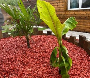 Houlle House | Gite Chez Tof et Ninie