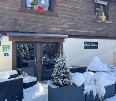 Xonrupt-Longemer Apartment | Gite de Montagne "Calluna" 1 ou 2 pers