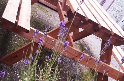 Sainte-Marie-aux-Mines Apartment | Gite des Mines D'argent "Le Saint-barthélemy"