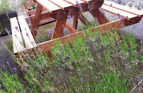 Sainte-Marie-aux-Mines Apartment | Gite des Mines D'argent "Le Saint-barthélemy"