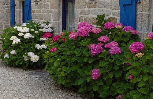 Penmarch House | Gite for 4 people near the beach