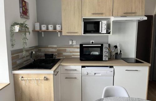 Soultz-Haut-Rhin Apartment | Gite La Glycine, Moderne Tres Propre 3 Lits