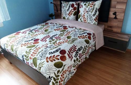 Quartier Saint-Leon Apartment | GITE LA HOUBLONNIÈRE STANDING et CONFORT à COLMAR