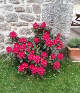 Le Malzieu-Forain House | Gite les ducs