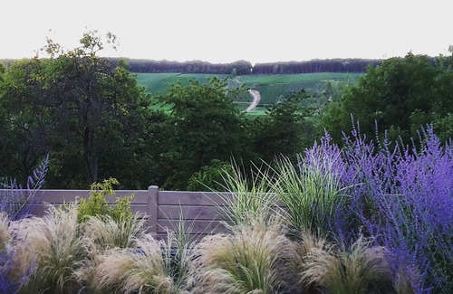 Villers-sous-Chatillon House | GITE MILLESIME ET UNE NUIT