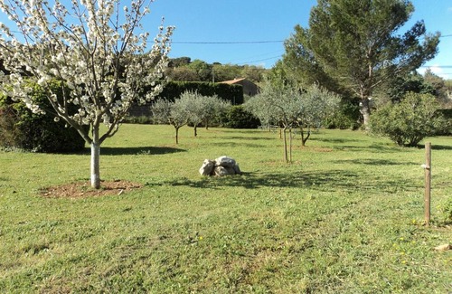 Piolenc House | Gite touristique